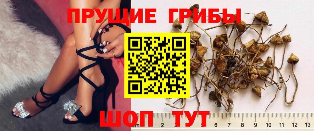 Псилоцибиновые грибы Cubensis  Вход с VPN  Белореченск  Галлюциногенные грибы MAGIC MUSHROOMS 