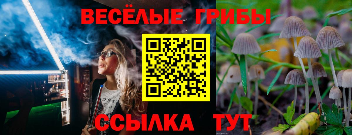 Галлюциногенные грибы мухоморы Белореченск