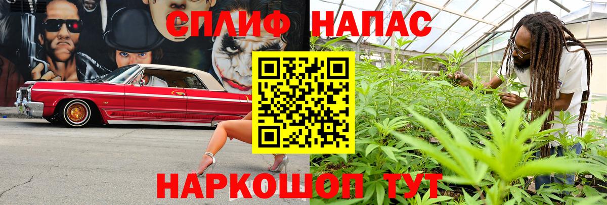 МАРИХУАНА Amnesia  Бошки Шишки Bruce Banner  Марихуана семена  Конопля конопля  Белореченск  Вход с VPN 